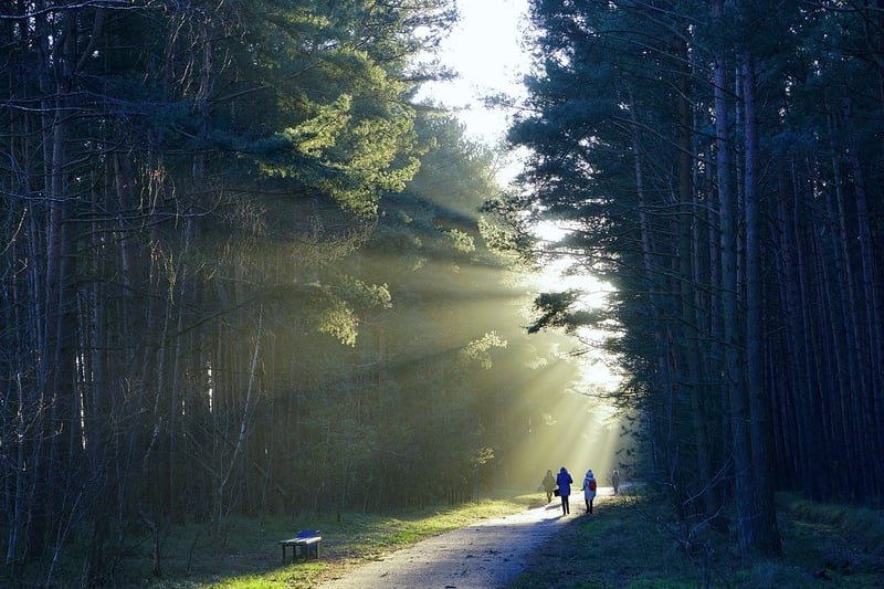 Nature Hike